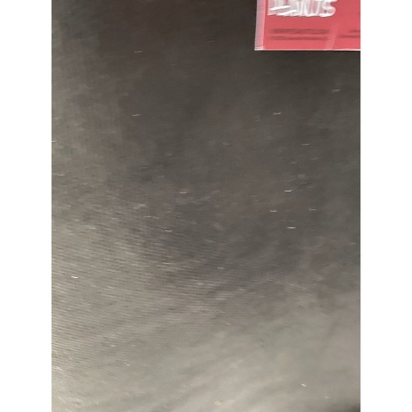 Peanuts Snoopy & Woodstock 'Rainbow Pride' Coir Door Mat 20” x 34” NEW - Picture 7 of 7